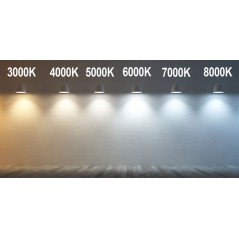 LED 20 balta (šilta) lemputė, 1W, GU10, 1/10000-12000MCD, 3500K, 15°