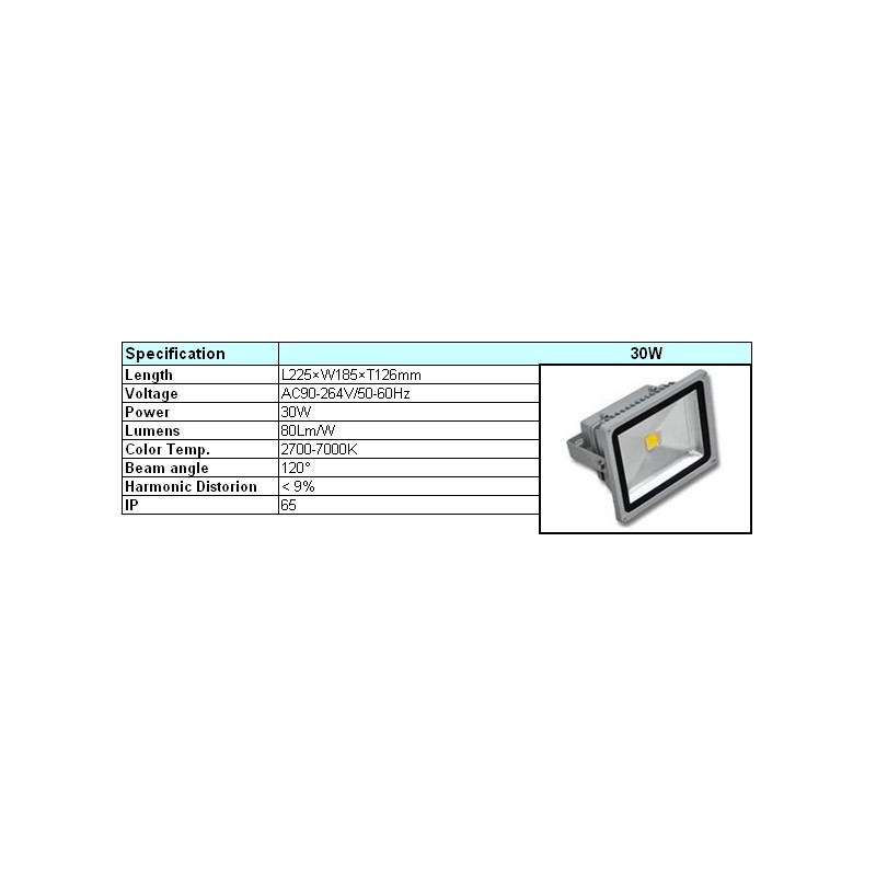 LED prožektorius 30W, 4000-4500K, 90-100lm/W, IP65