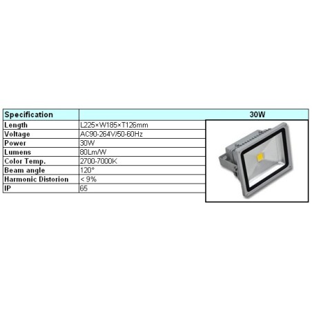 LED prožektorius 30W, 4000-4500K, 90-100lm/W, IP65